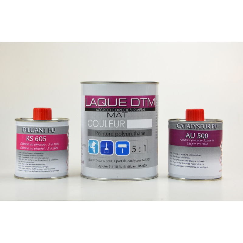 Kit peinture polyuréthane Mat (Blanc ou Noir) avec diluant et durcisseur